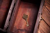 Thumb_224