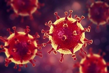 Мошенники используют тему коронавируса для обмана граждан 