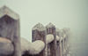 Thumb_86