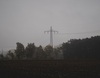 Thumb_205