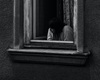 Thumb_237