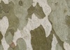 Thumb_31