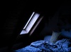 Thumb_238
