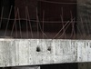 Thumb_271