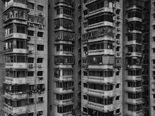 Оказывая риэлторские услуги, похищали выморочное жилье и снятые в аренду квартиры