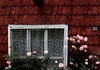 Thumb_327
