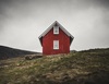 Thumb_358