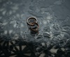 Thumb_21