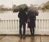 Thumb_232