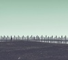 Thumb_237