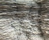 Thumb_103