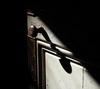 Thumb_160