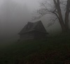 Thumb_195