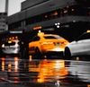 Thumb_233