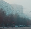 Thumb_44