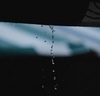 Thumb_66