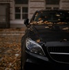 Thumb_29