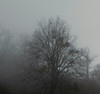 Thumb_112