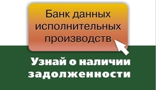 Банк данных исполнительных производств – виртуальный помощник южноуральцев 