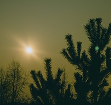 Результаты оказания правовой помощи: суд кассационной инстанции отменил апелляционное определение, а арбитраж включил долг в реестр требований должника-банкрота