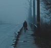 Thumb_311