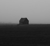 Thumb_313