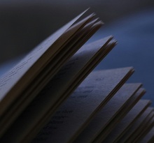 В отношении Общественной организации «Правосознание» проведена плановая документарная проверка