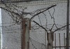 Thumb_32441