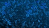 Thumb_29
